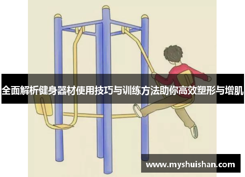 全面解析健身器材使用技巧与训练方法助你高效塑形与增肌