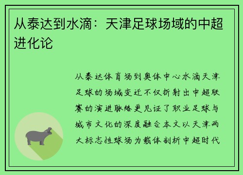 从泰达到水滴：天津足球场域的中超进化论