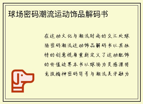 球场密码潮流运动饰品解码书
