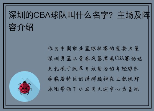 深圳的CBA球队叫什么名字？主场及阵容介绍