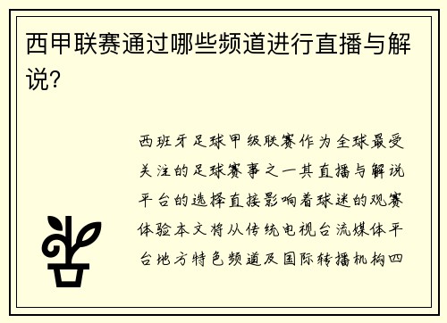 西甲联赛通过哪些频道进行直播与解说？